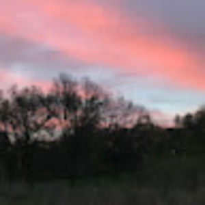 Meet your Posher, Arnela